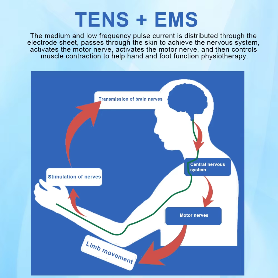 TENS EMS Electric Pulse Massager – 12 Modes, Muscle Stimulator for Pain Relief