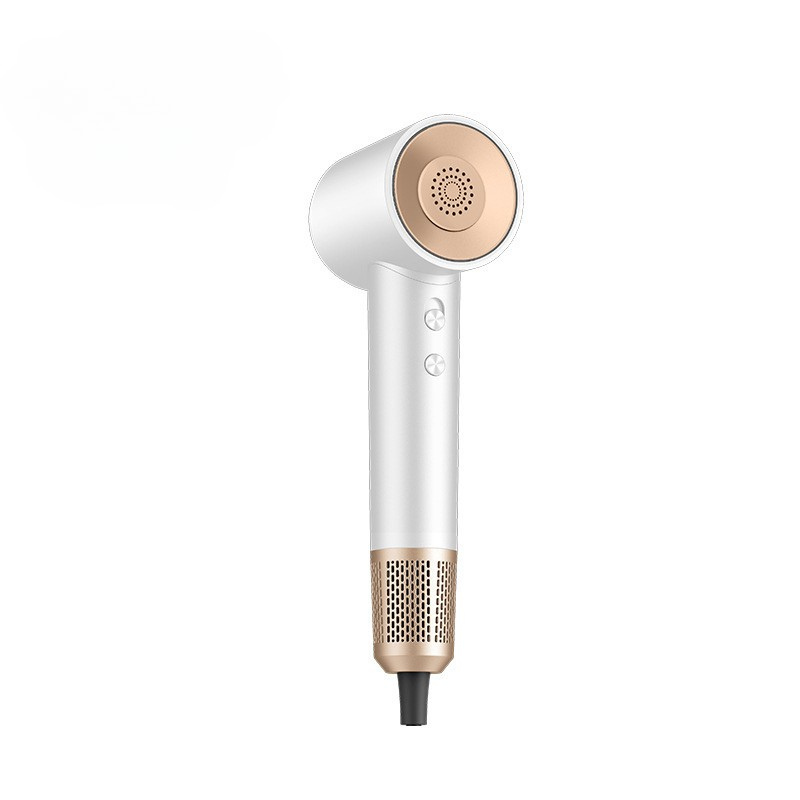 TurboDry – Professional High-Speed Ionic Hair Dryer