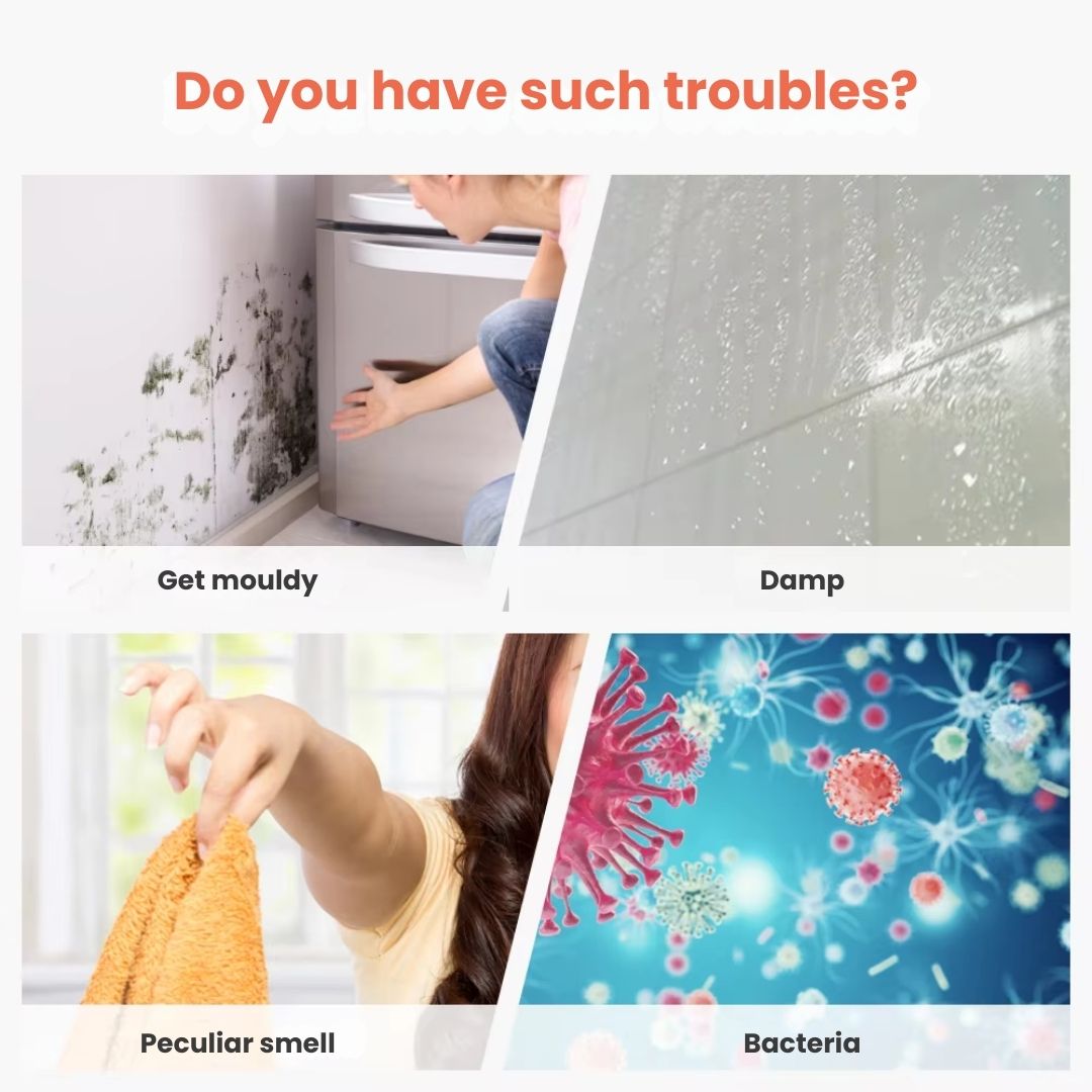 Portable Electric Dehumidifier – 250ml/Day