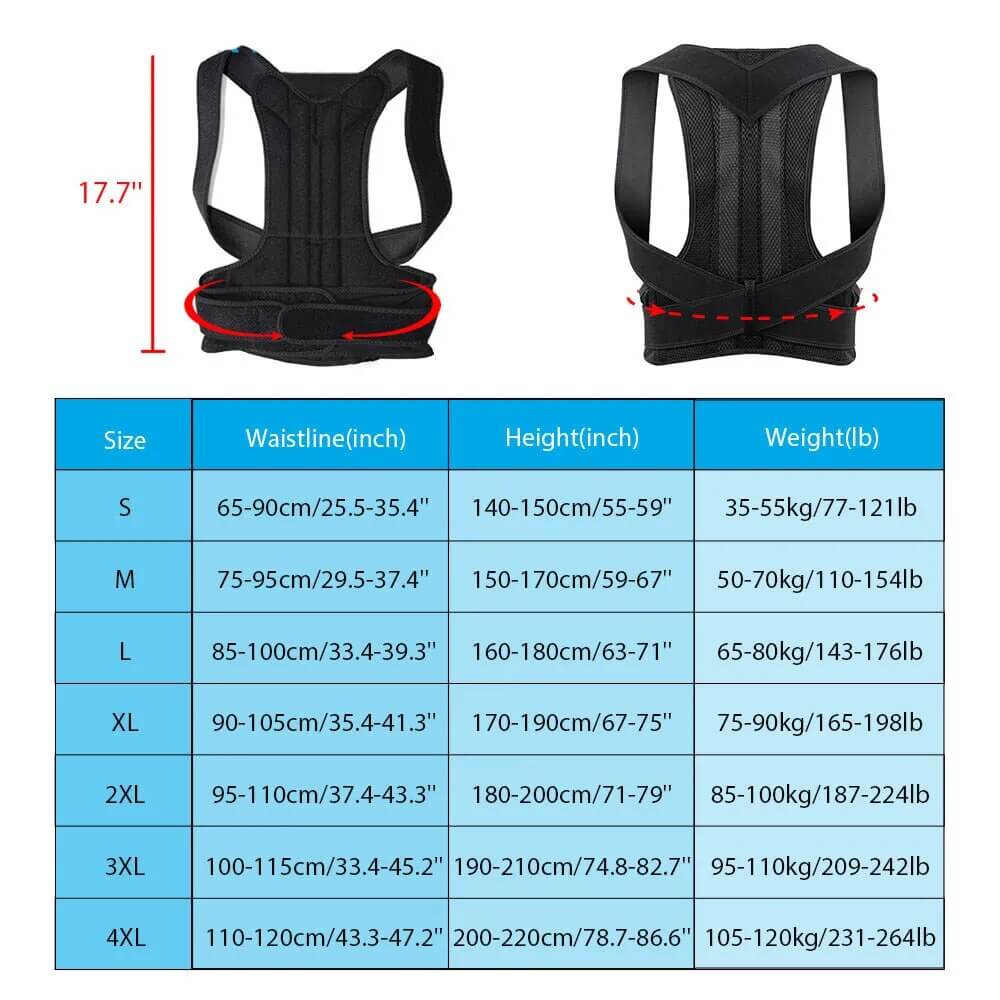 Upright Champion: Posture Perfecting Brace