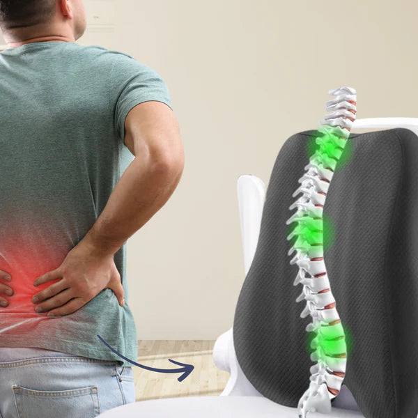 Lumbar Support Cushion – Memory Foam Back Pillow for Office, Car & Home