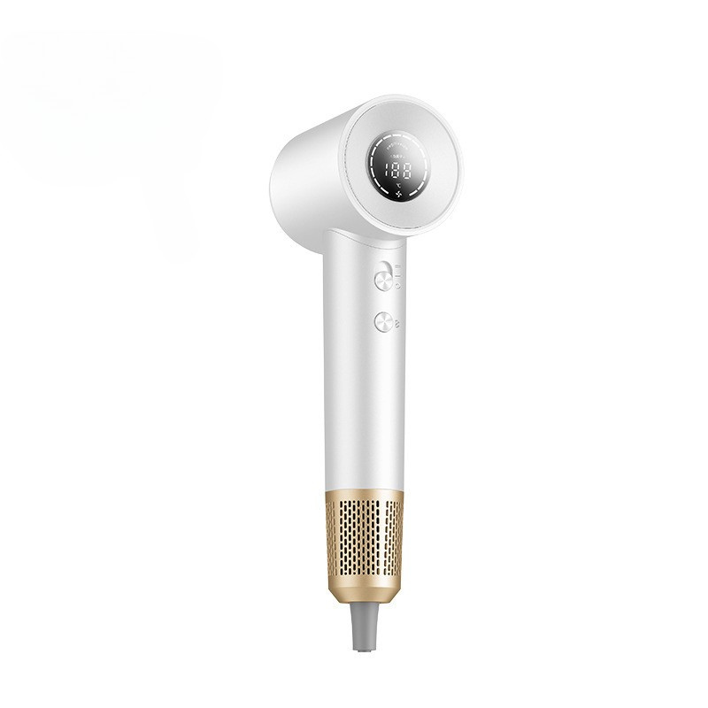 TurboDry – Professional High-Speed Ionic Hair Dryer