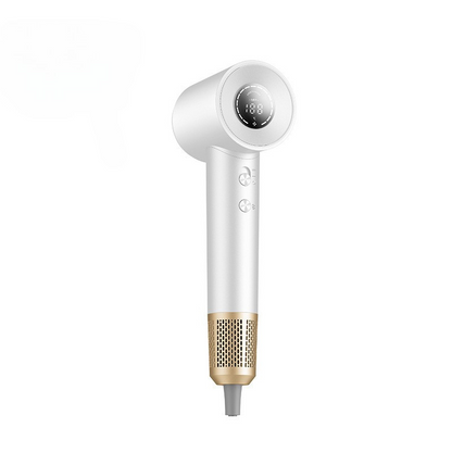TurboDry – Professional High-Speed Ionic Hair Dryer