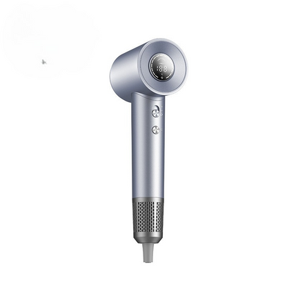 TurboDry – Professional High-Speed Ionic Hair Dryer