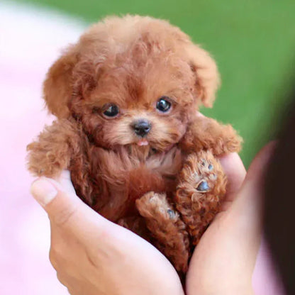 SnugglePup – Realistic Plush Puppy with Lifelike Details