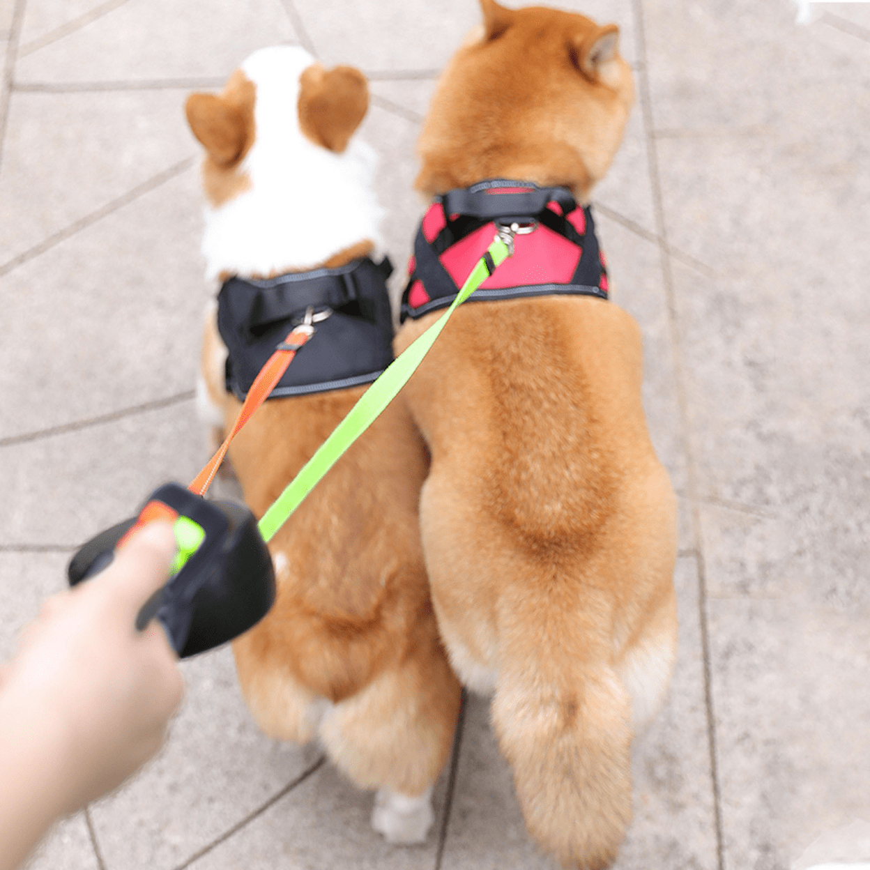 DoubleDog Retractable Dual Dog Lead with Anti-Tangle Swivel & Built-in Torch – 4m Extendable for Two Dogs