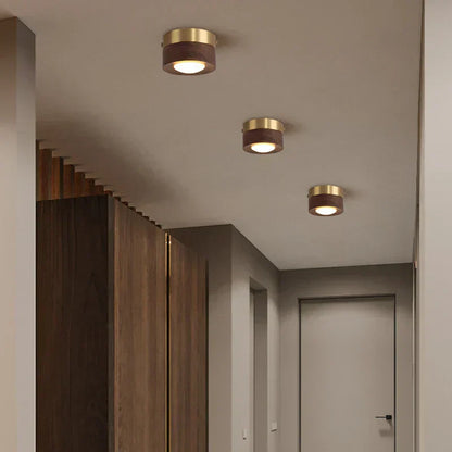 WoodenGlow - Walnut Ceiling Light with LED Spotlight