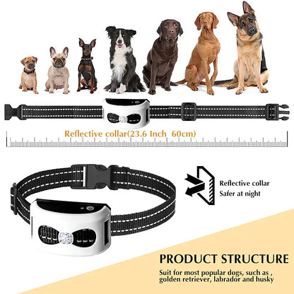 2-in-1 Wireless Dog Fence & Outdoor Training Collar – Waterproof, Rechargeable, 300m Range
