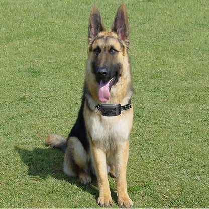 Wireless Dog Fence System with Adjustable Waterproof Collar – Up to 240 Metres Range