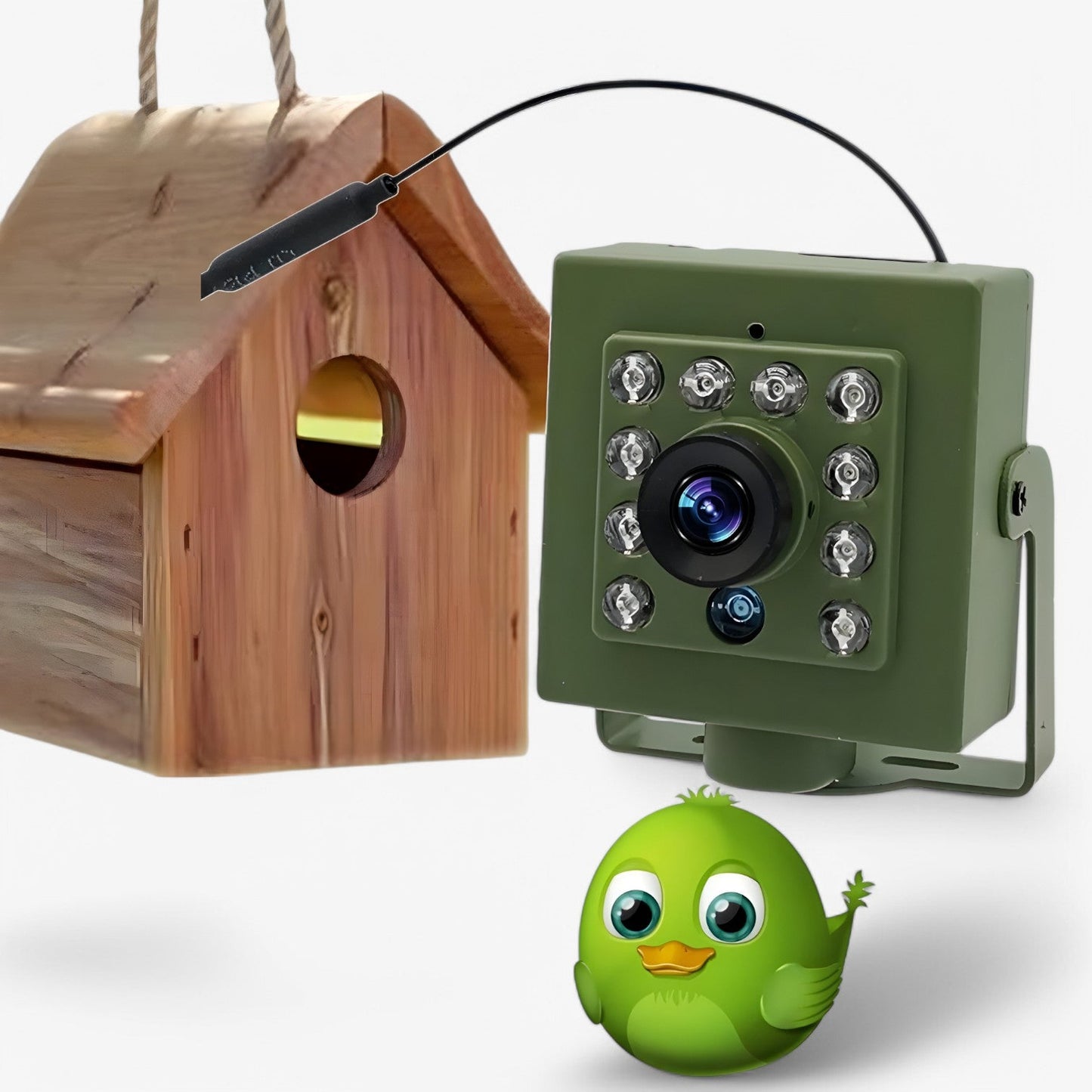 NestCam HD WiFi Bird Nest Camera – 1080p Waterproof Outdoor Wildlife Camera with Night Vision