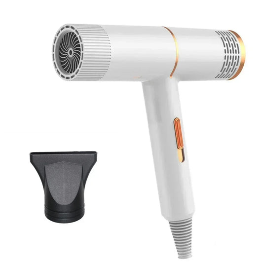 LuxeStyler – Infrared Negative Ion Dual Wind Hair Dryer