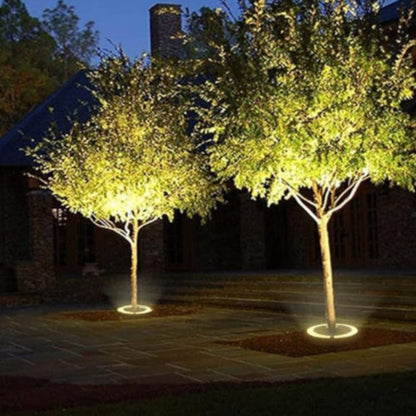 Treelighta – Premium LED Tree Spotlight for Elegant Outdoor Lighting