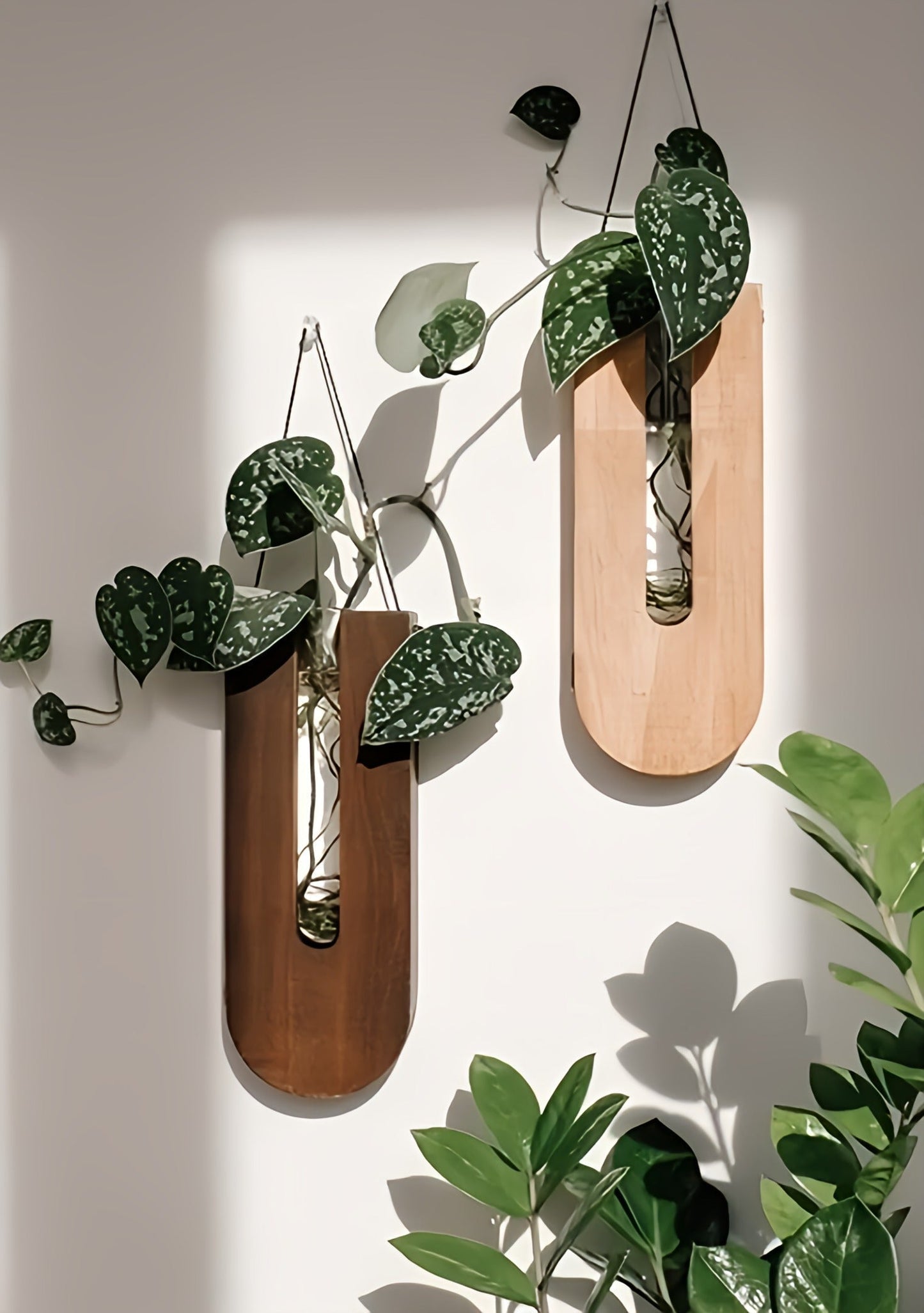 WoodFlora | Rustic Wooden Wall Flower Holder Set – Creative Plant Display for Indoor Spaces